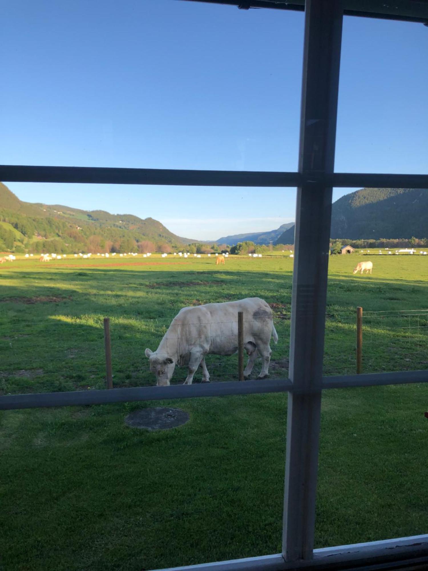 Villa Soltun Ringebu Kültér fotó