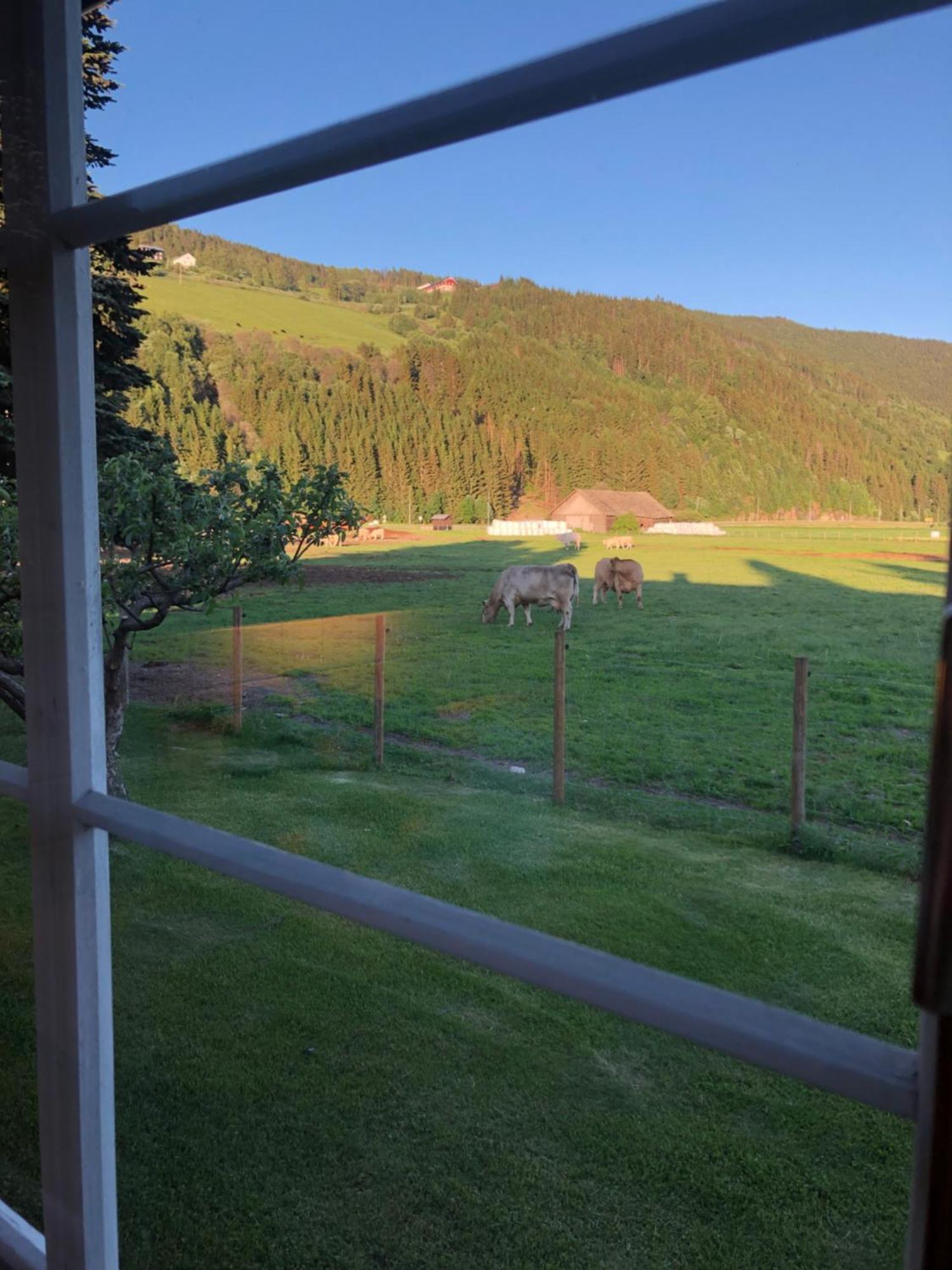 Villa Soltun Ringebu Kültér fotó